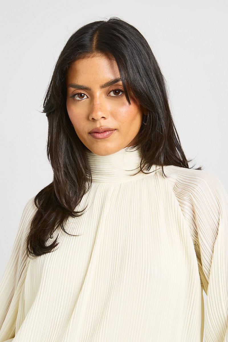 Isabelle | Plissé Batwing Blouse